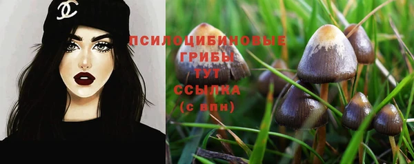 гидра Армянск