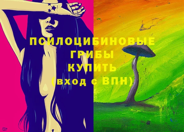 гидра Армянск