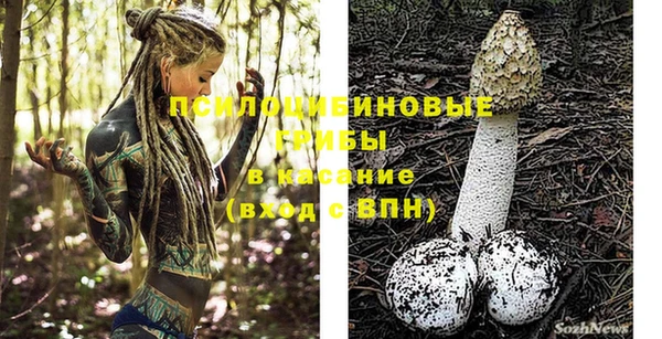 гидра Армянск