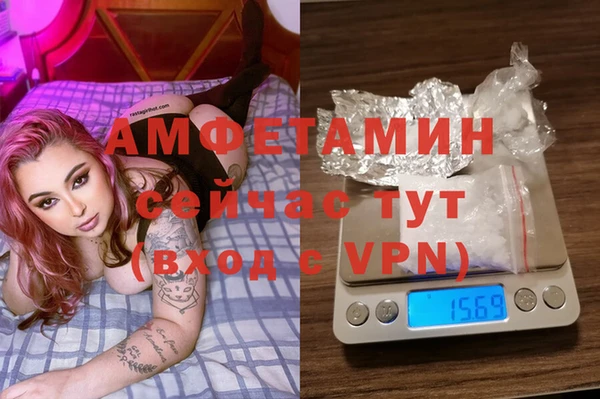 гидра Армянск