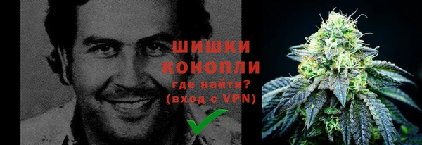 гидра Армянск