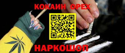 ГАЛЛЮЦИНОГЕННЫЕ ГРИБЫ Гусев