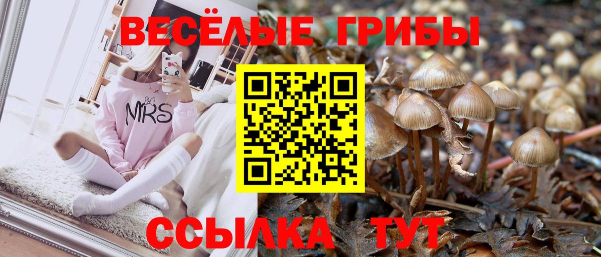 Ярцево  Галлюциногенные грибы Psilocybe  как найти закладки  Вход с VPN 